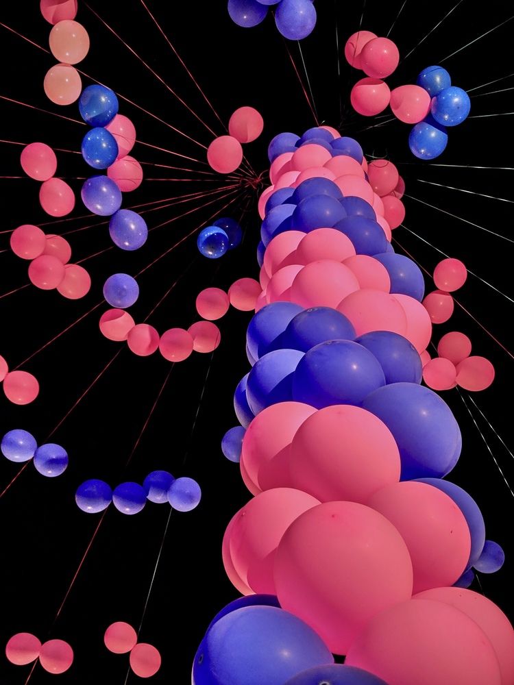 Фотография автора BIPLAB MISRA