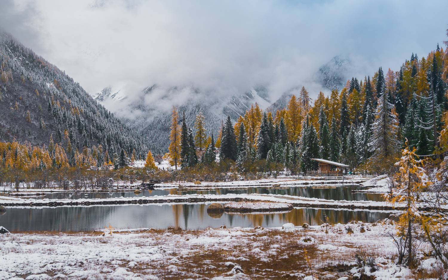 Фотография #12840140