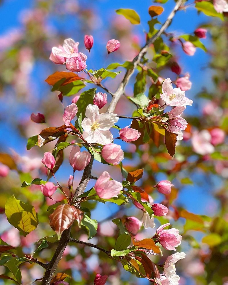 Photograph by Татьяна Волохова