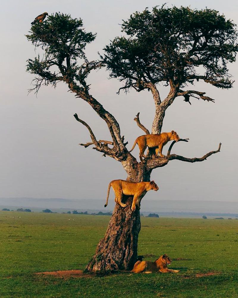 Photograph by baone84