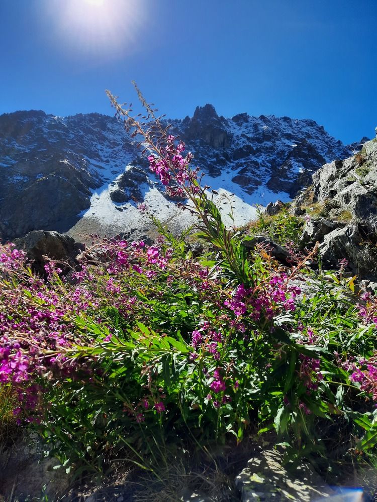 Photograph by Елена