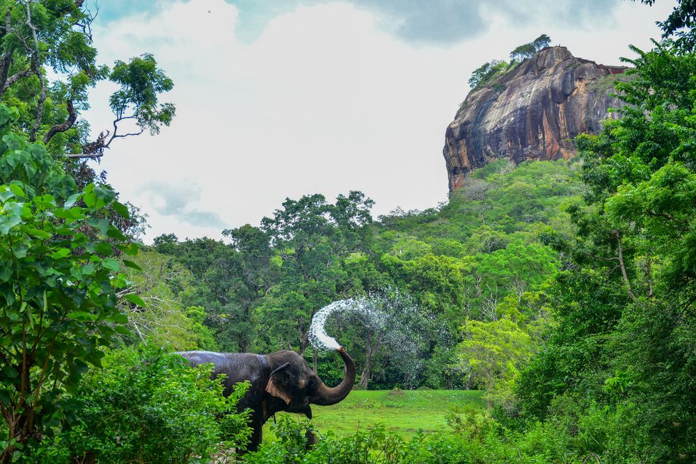 Photograph by Pubudu Thennakoon