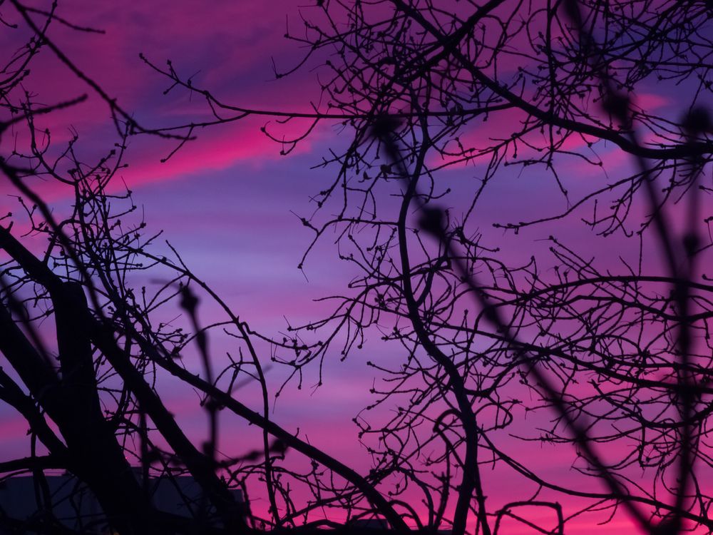Photograph by Вячеслав Волосников
