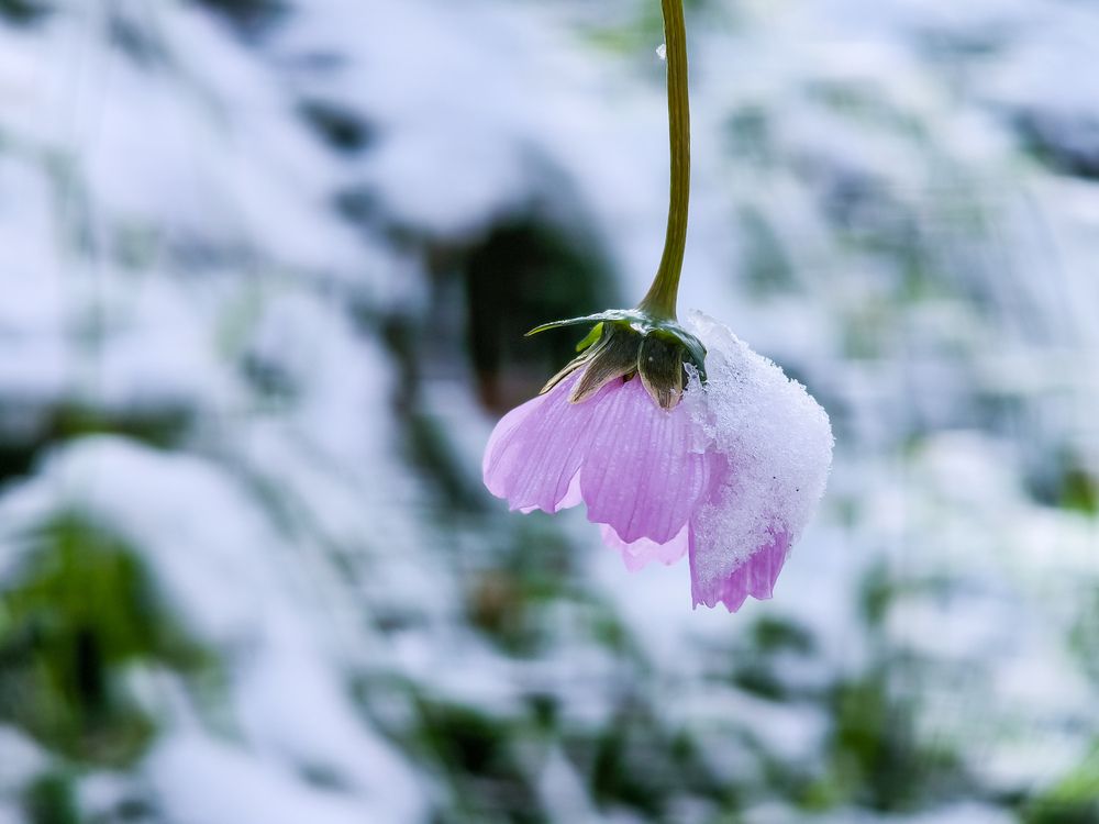 Фотография автора Владимир Ли