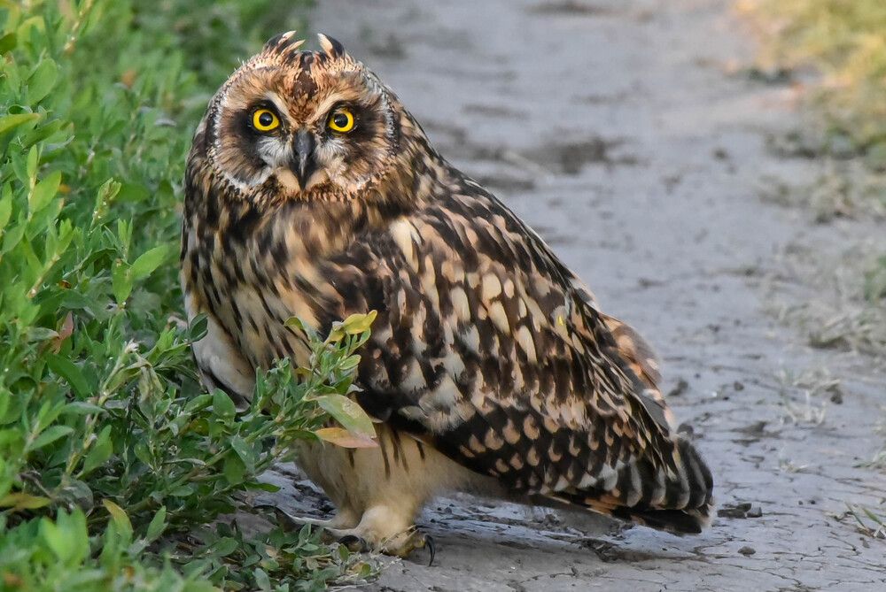 Photograph by Наталья Сорокина