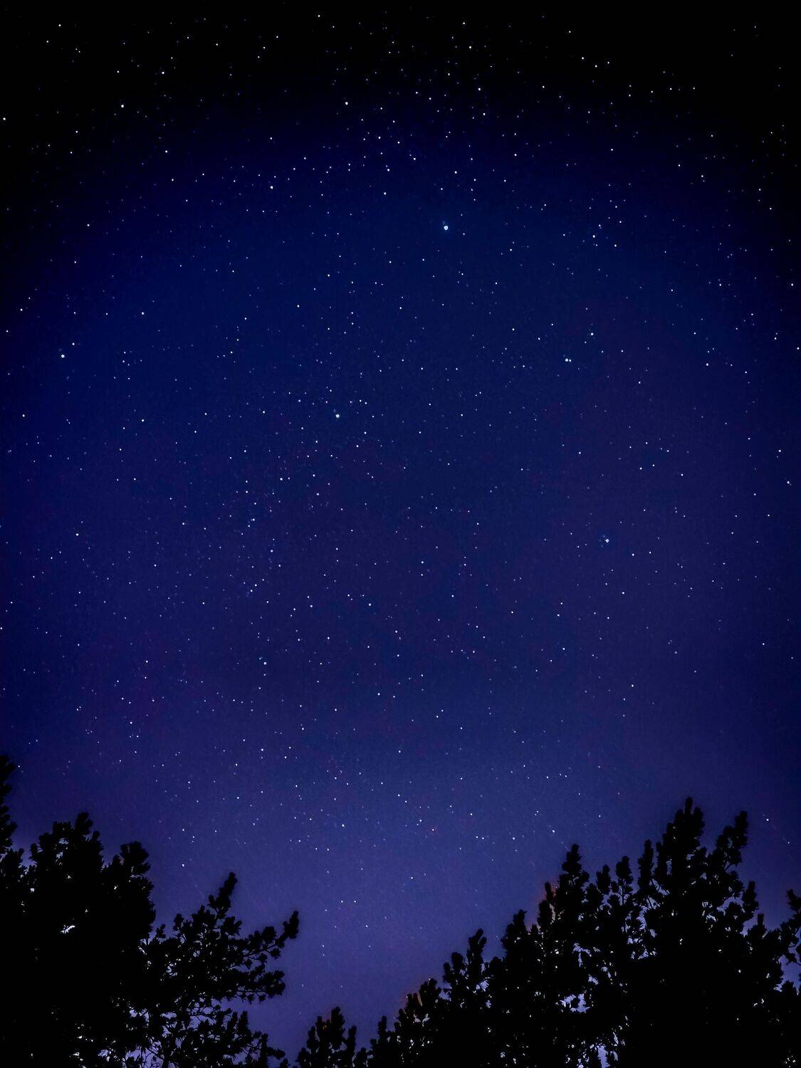 Photo #12840285