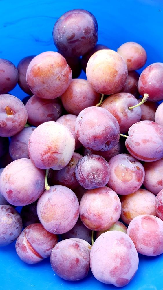 Photograph by Виктория Образцова