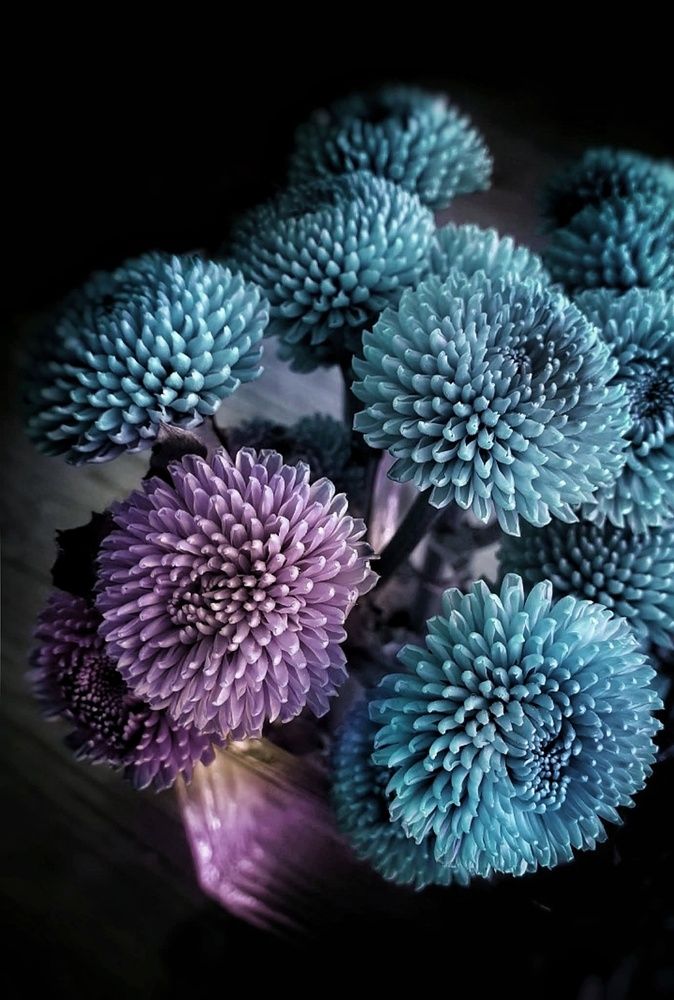 Photograph by Polina Svirida