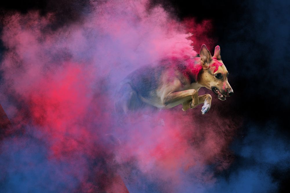 Photograph by Daria Koksharova