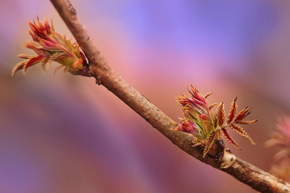 Photograph by Татьяна Бравая