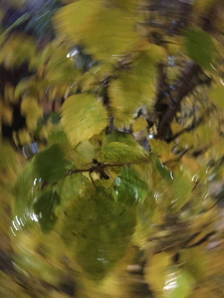 Photograph by Ирина Трембач