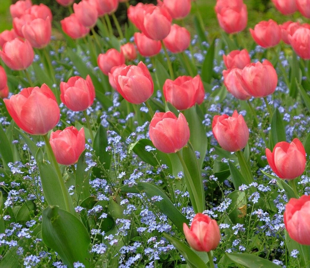 Photograph by Михаил Король