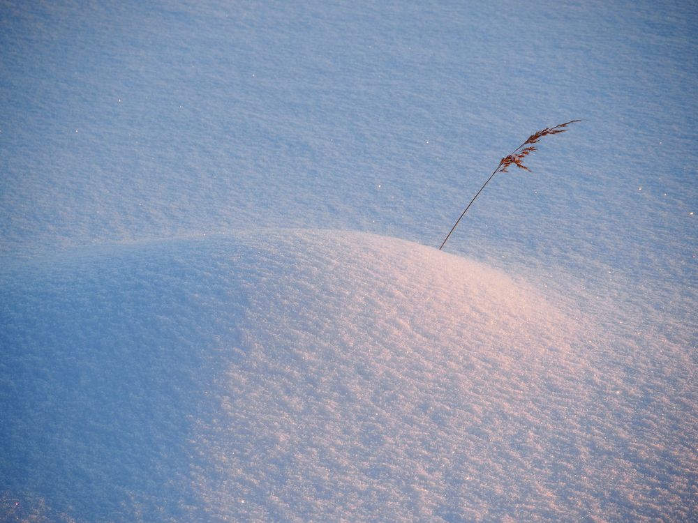 Photograph by Сергей Гаврилов