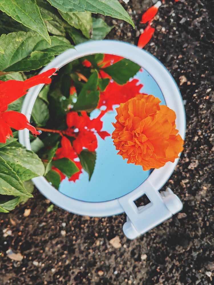 Photograph by Наталья Маврина