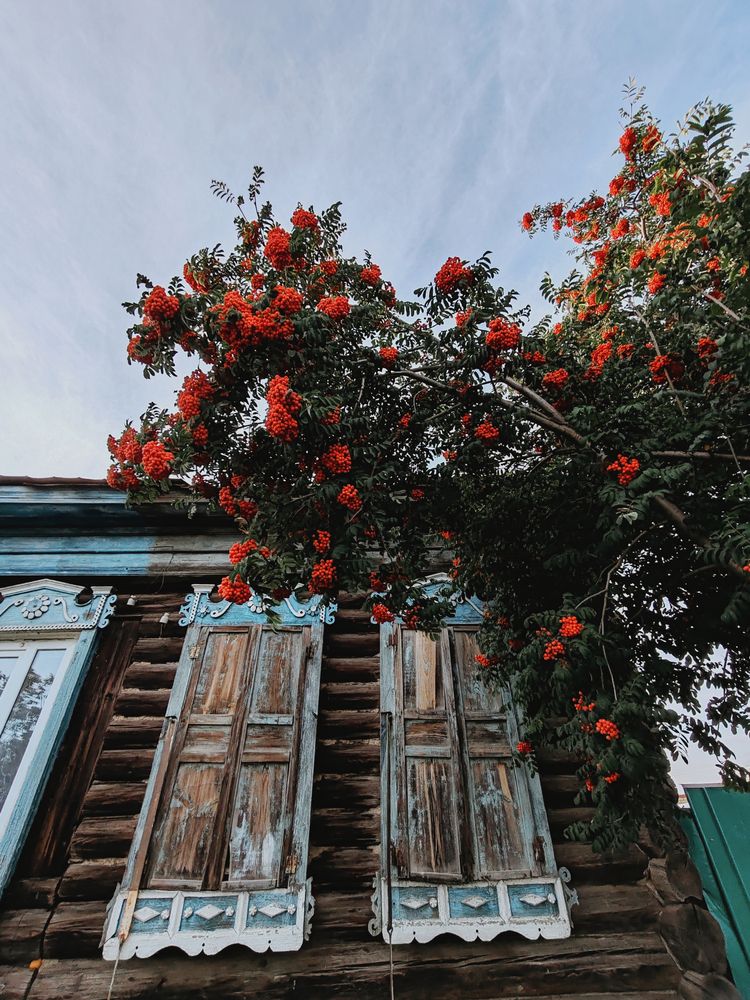 Photograph by Наталья Маврина