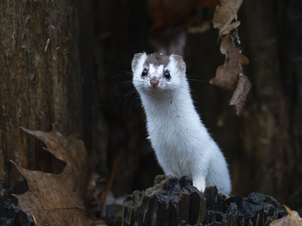 Photograph by Владимир Зайцев