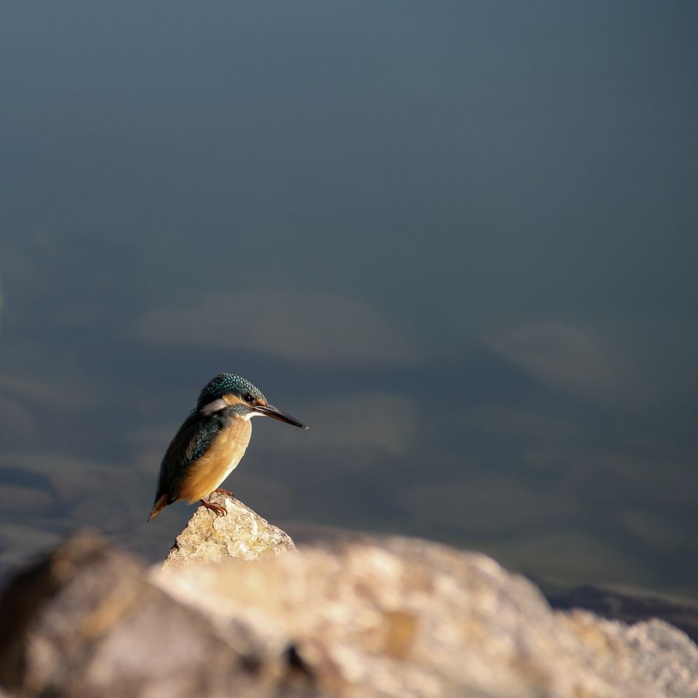 Фотография автора Владимир Ли