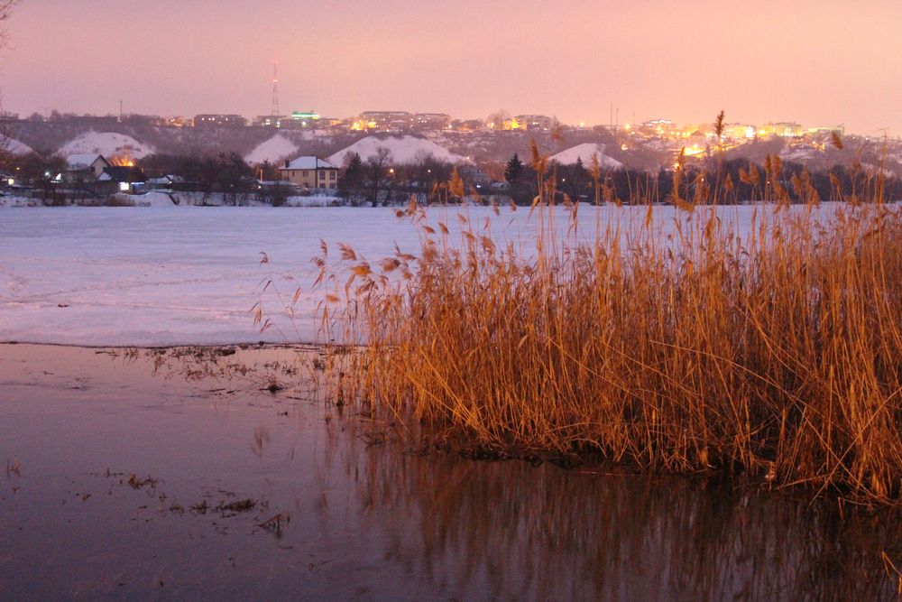 Photograph by Светлана Шубина