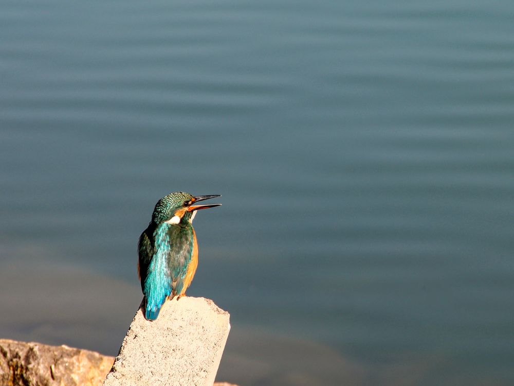 Фотография автора Владимир Ли