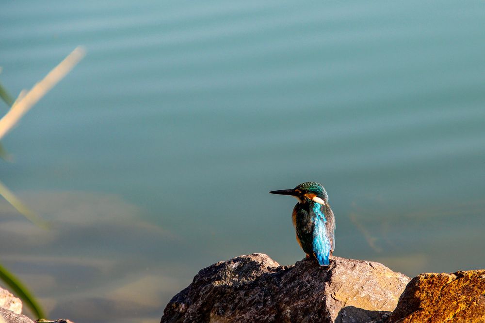 Фотография автора Владимир Ли