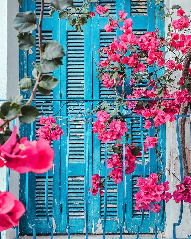 Photograph by Alexandra Sergeeva