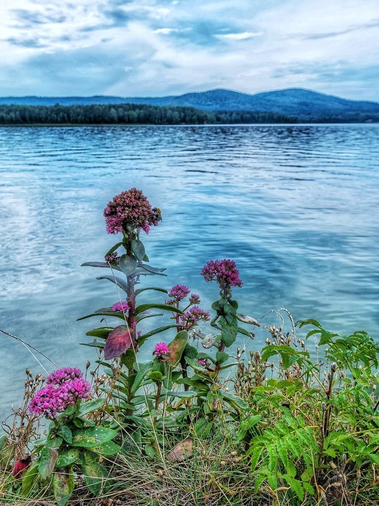 Photograph by Анастасия Глазюк