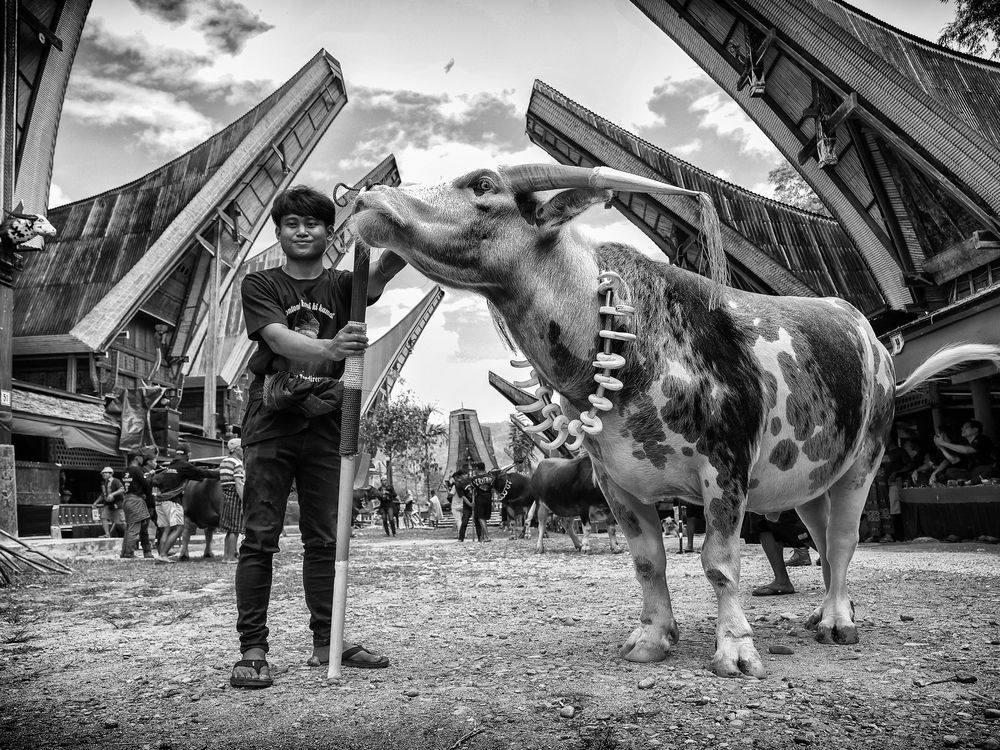 Photograph by Jurica Galic