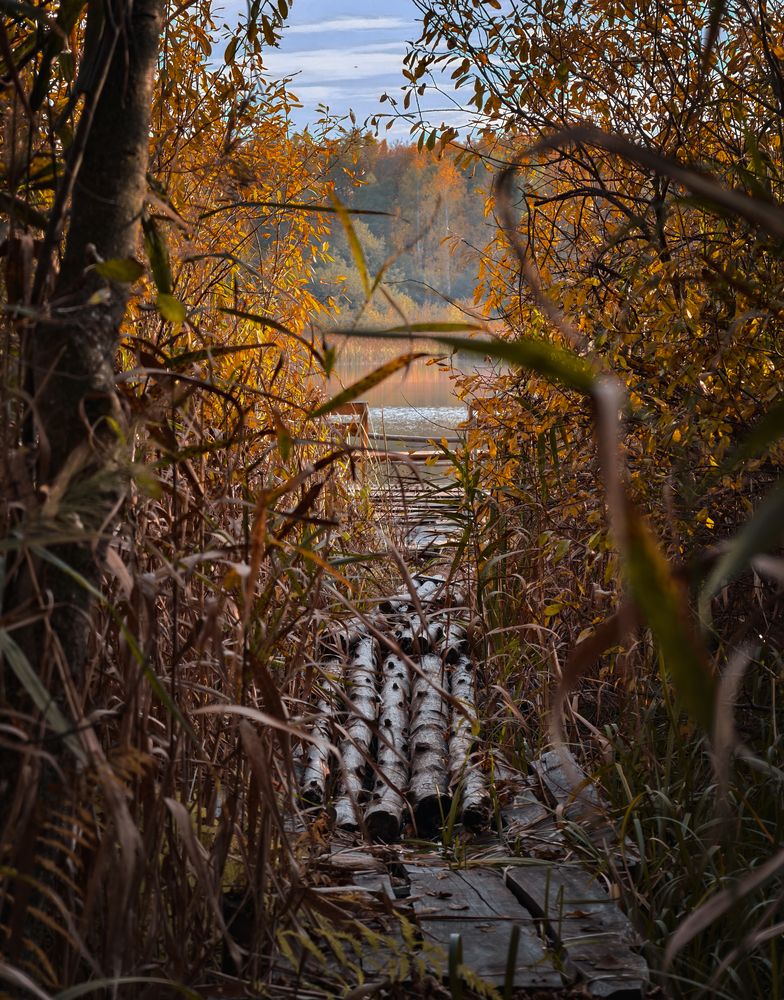 Photograph by Фролов (1stMOD) Владимир