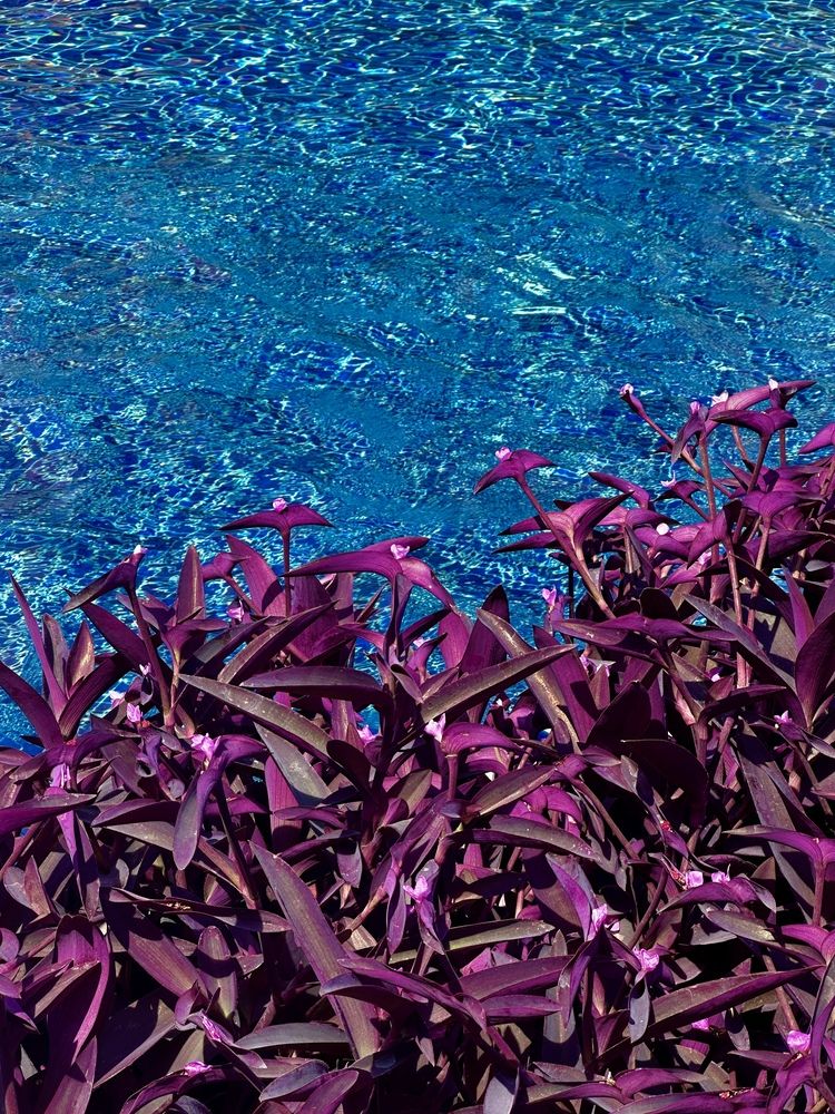 Photograph by Бороздина Мария