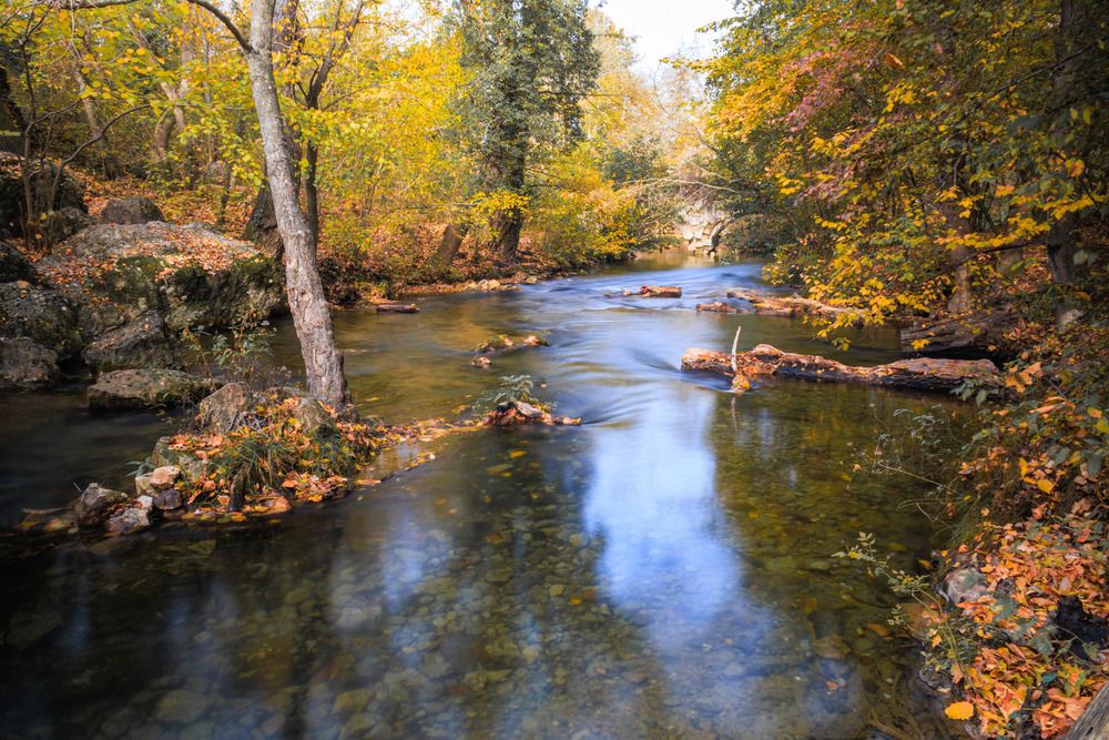 Фотография автора Ярослав Качура