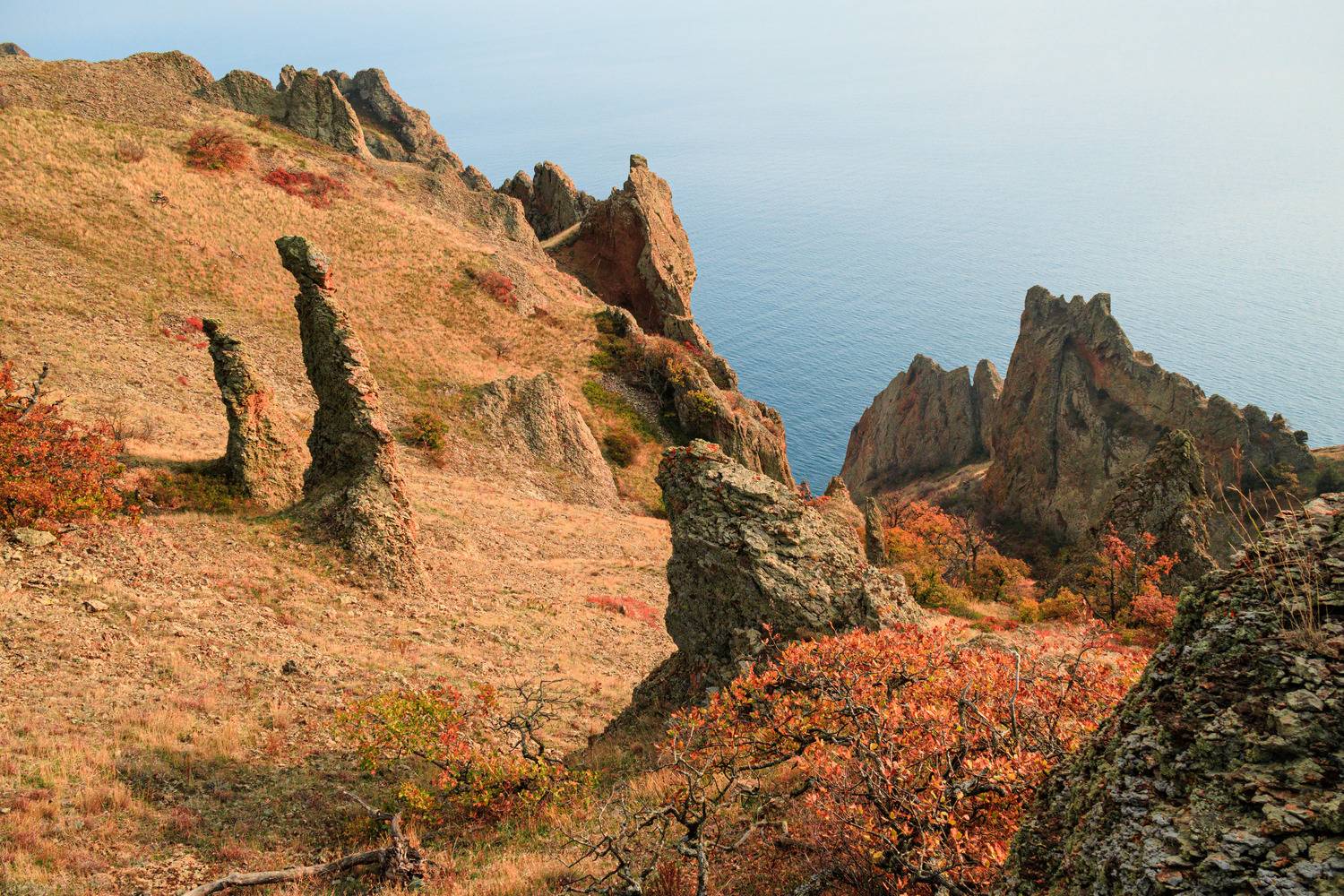 Фотография #12841154