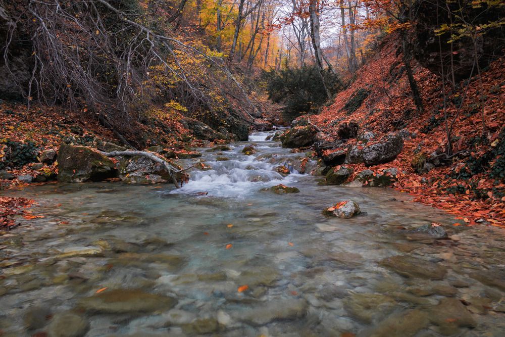 Фотография автора Ярослав Качура