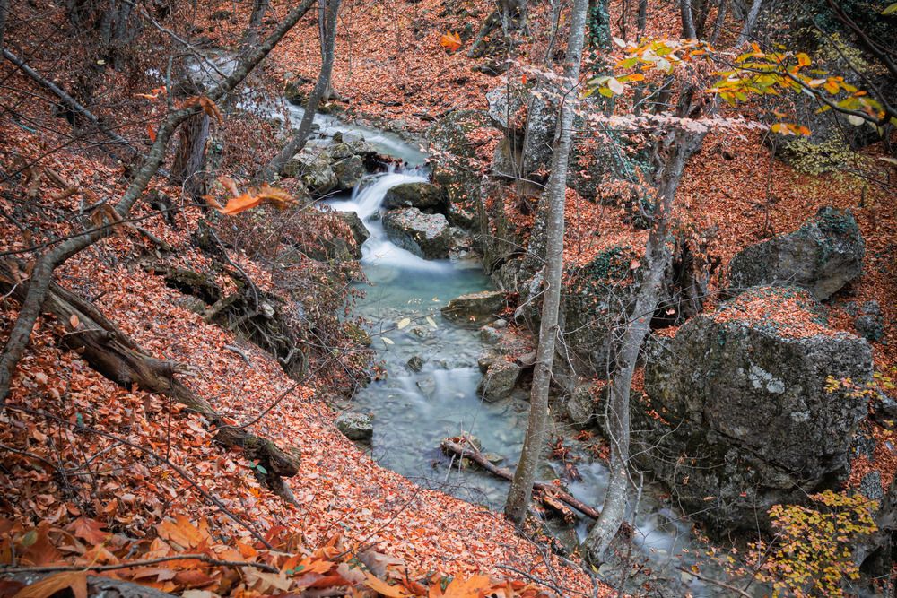 Фотография автора Ярослав Качура