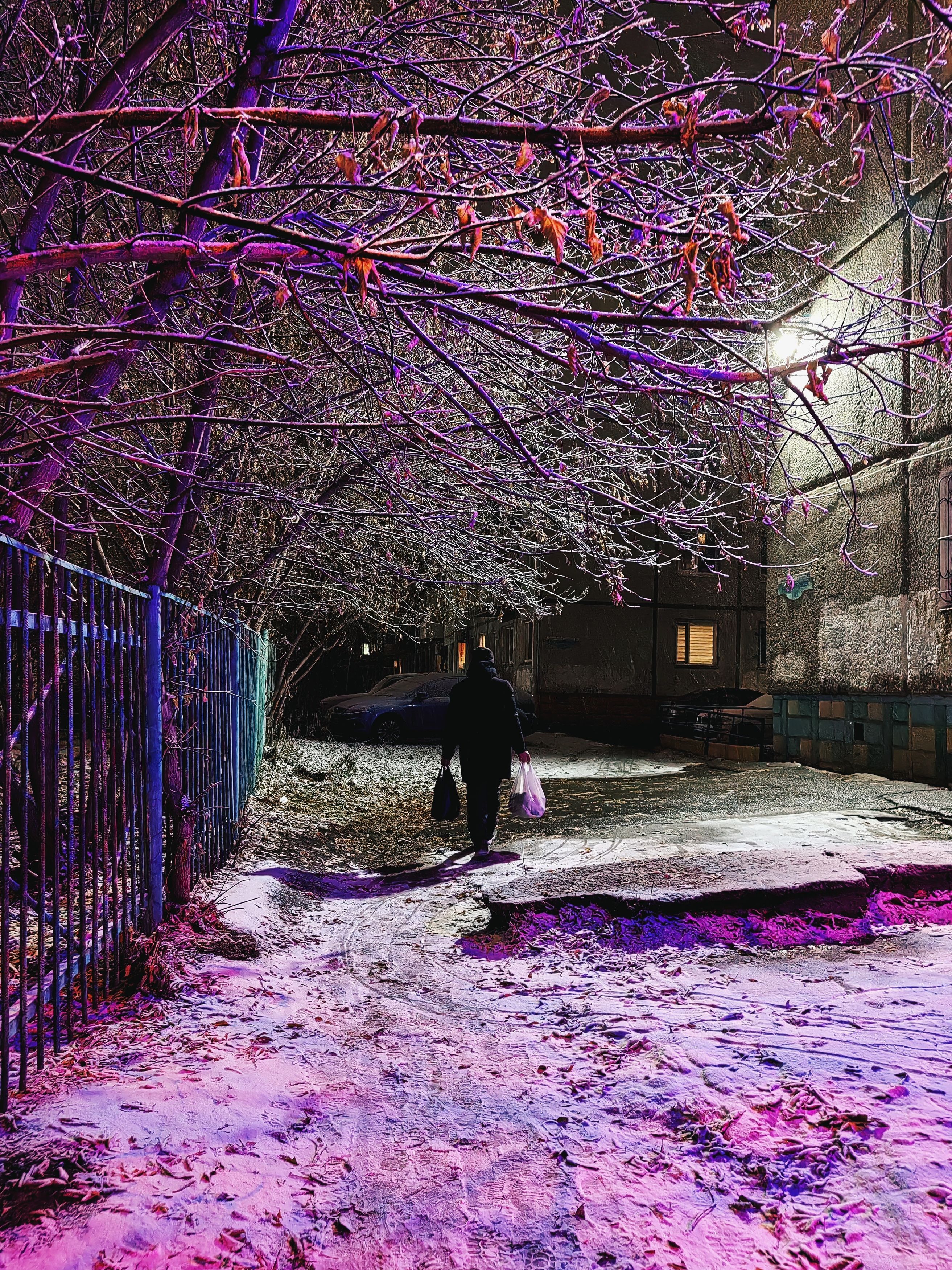 Photograph by Арина Черникова