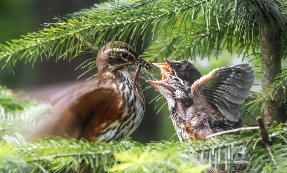 Photograph by Елена Соколова