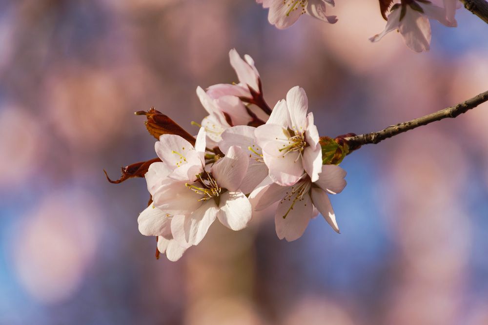 Photograph by Валентина Куренкова