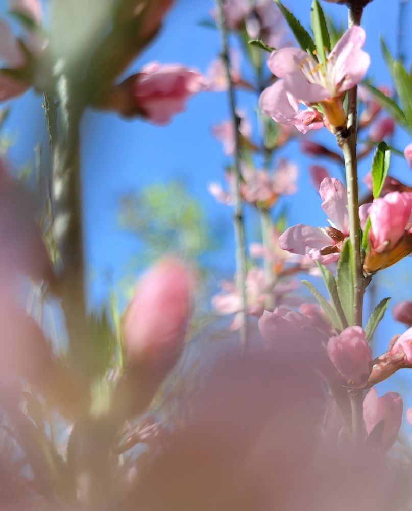 Photograph by Екатерина Исаева