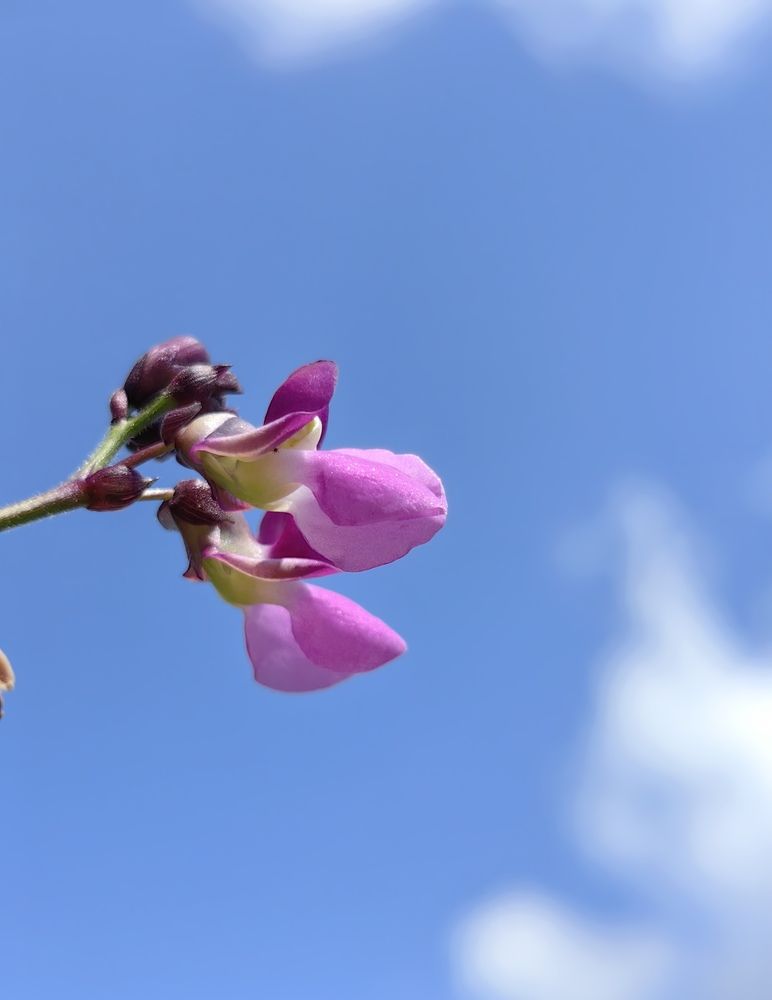 Photograph by Екатерина Исаева