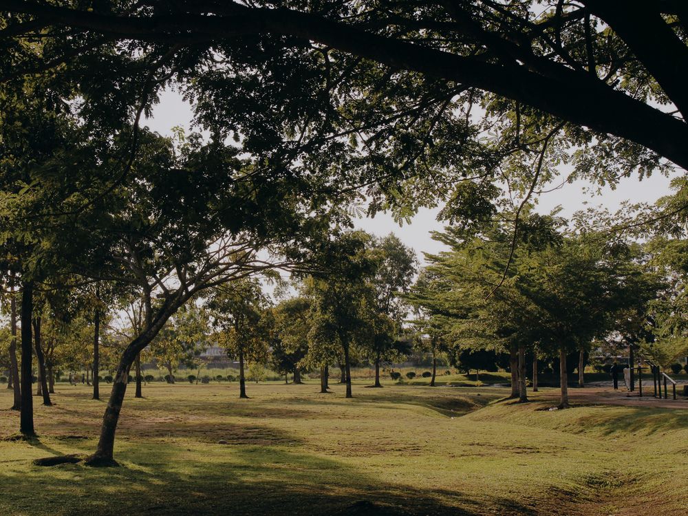 Photograph by Onong