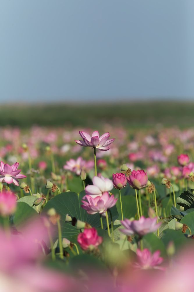 Фотография автора Гарус Виктория