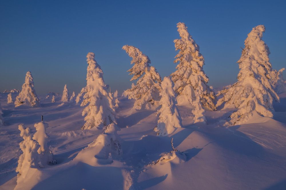 Photograph by Елена Перминова