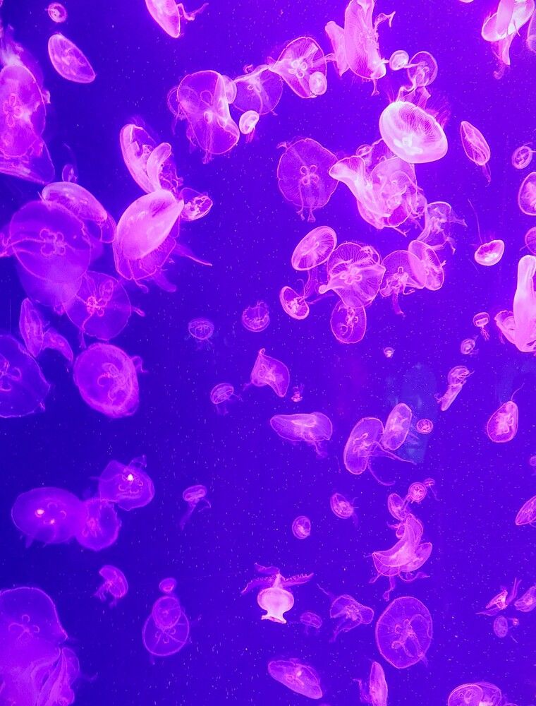 Photograph by Маринова Марина