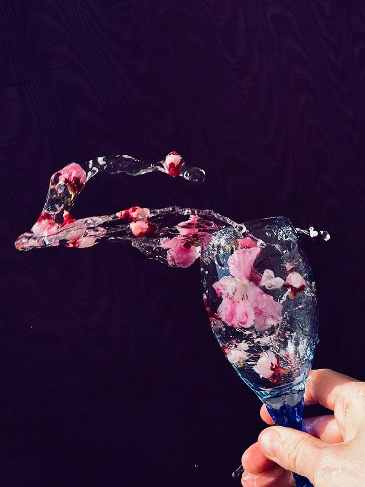 Photograph by Nagasaki Marina