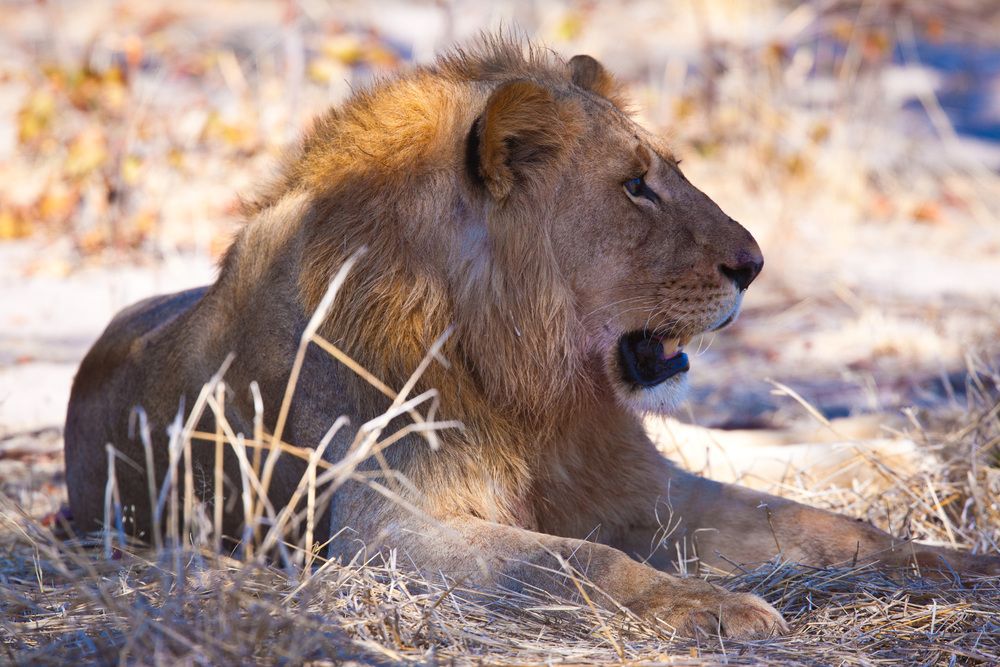 Photograph by Александр Журавлев