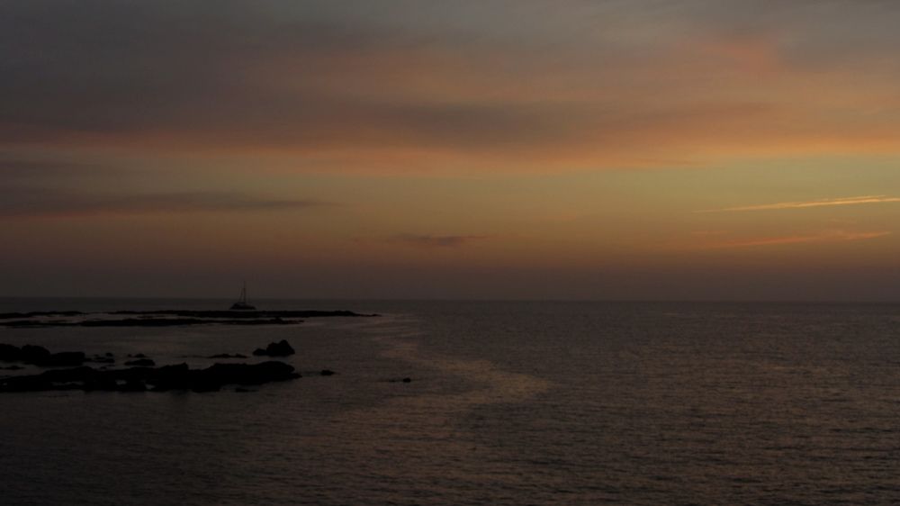 Photo #12841640