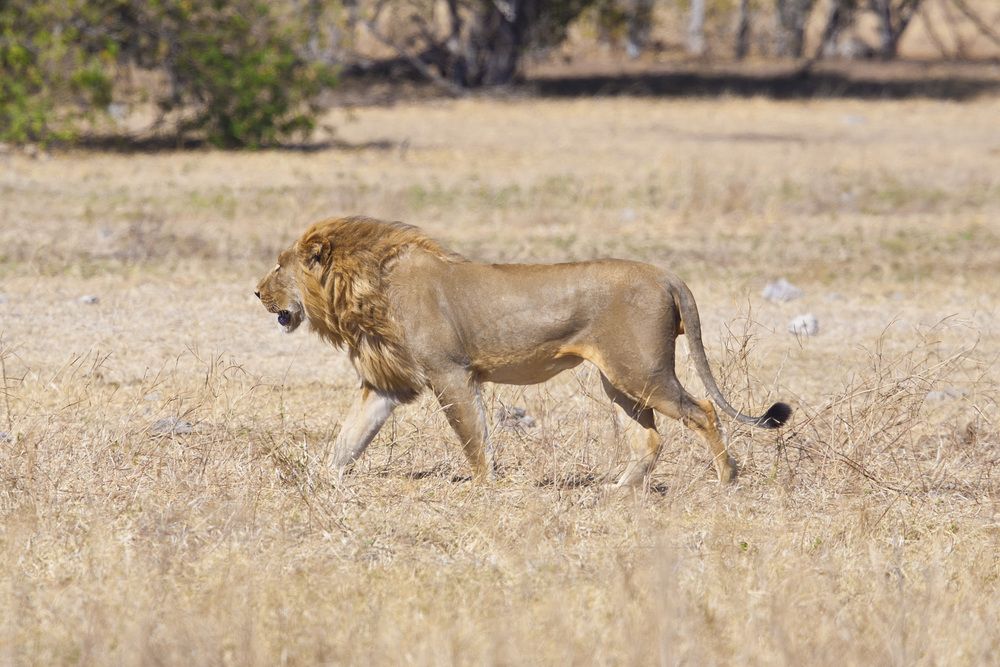 Photograph by Александр Журавлев