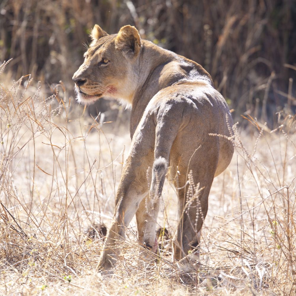 Photograph by Александр Журавлев