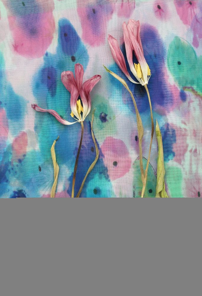 Photograph by Сироткина Нина