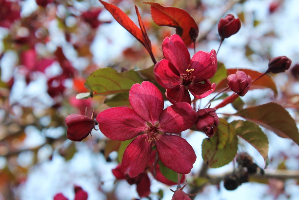 Photograph by Сироткина Нина