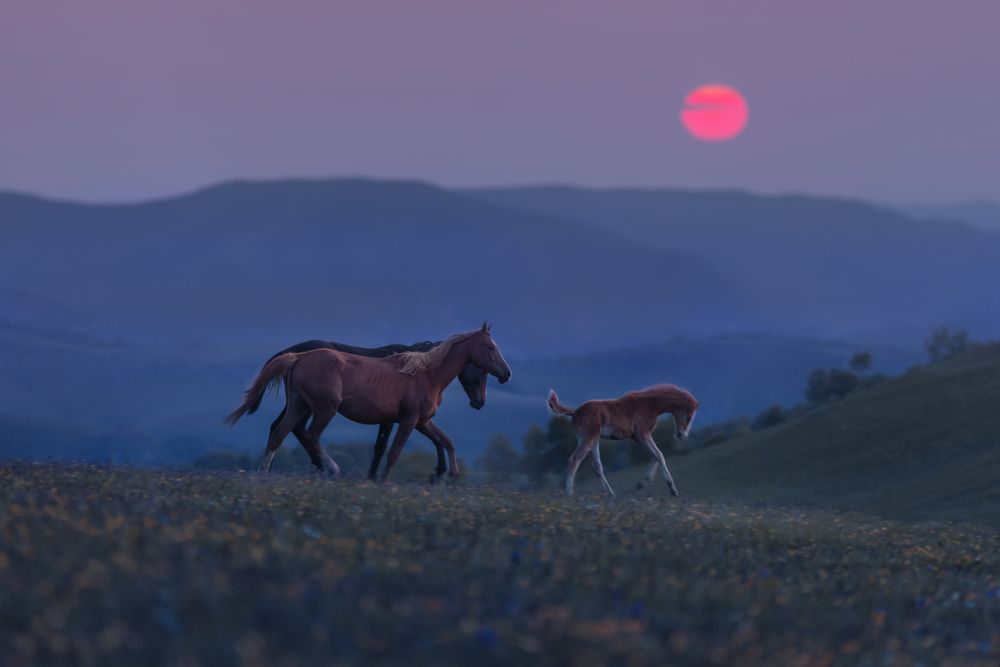 Photograph by Онучина Юлия